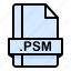 file, file extension, file format, file type, psm 