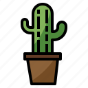 cactus, cafe, coffee, plant, restaurant