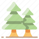 camping, christmas, forest, spruce, tree, xmas