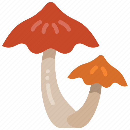 Nature, fungi, food, forest, cooking, mushroom icon - Download on Iconfinder