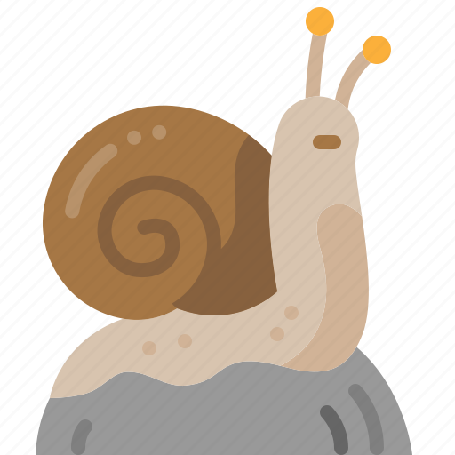 Snail, humidity, nature, animal, wildlife, shell, wild icon - Download on Iconfinder