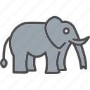 elephant, animal, republican, safari, zoo