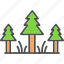 evergreen, forest, nature, pine, tree, wood 