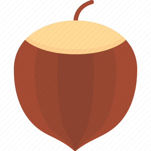 Acorn, hazelnut, nut, peanut, autumn, oak icon - Download on Iconfinder