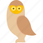 owl, bird, night, nighttime, wisdom, wise 