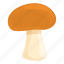 mushroom, champignon, food, edible 
