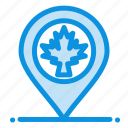 canada, leaf, location, map
