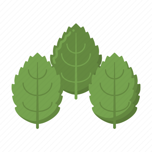 Mints, herb, plants, aromatic, leaves icon - Download on Iconfinder