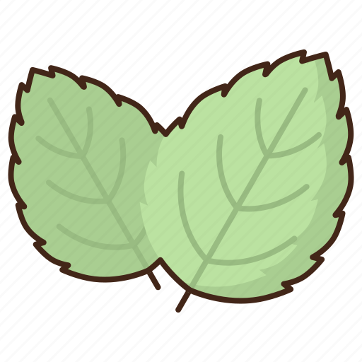 Mints, herb, leaves icon - Download on Iconfinder