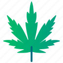 cannabidiol, cannabis, cbd, leaf, marijuana, plant