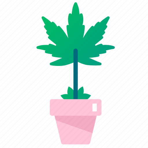 Cannabidiol, cannabis, cbd, marijuana, plant icon - Download on Iconfinder