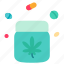 cannabis, marijuana, plant, drug, medicine, medical 