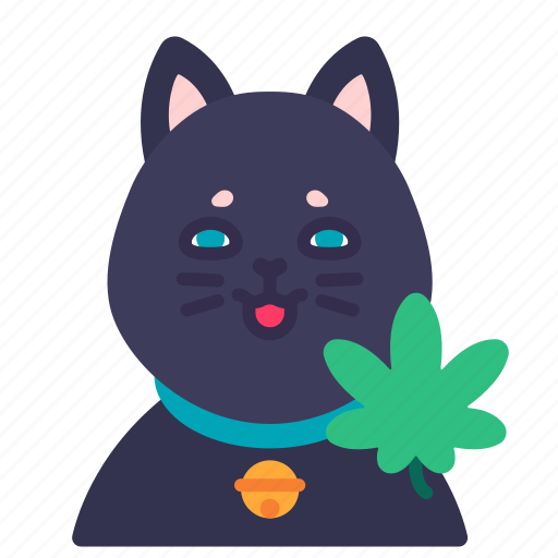 Cat, cannabis, marijuana, plant, drug, catnip, drunk icon - Download on Iconfinder