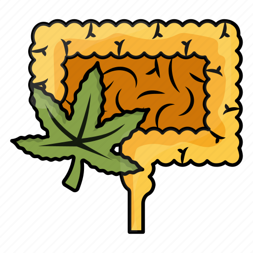 Cannabis, marijuana, hemp, weed, large intestine, constipation, disease icon - Download on Iconfinder