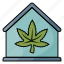cannabis, marijuana, drug, hemp, weed, house, home 