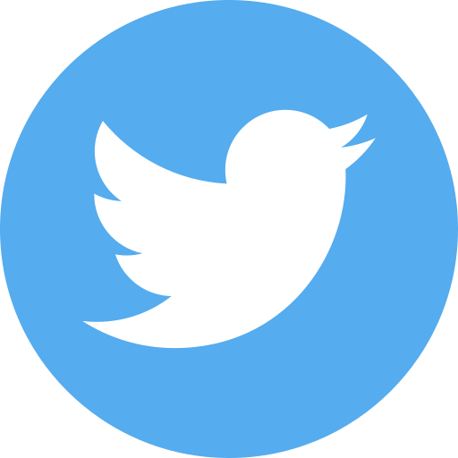 Image result for twitter circle icon png