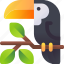 toucan, bird, nature, toucanet, aracari 