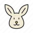 rabbit face, rabbit, bunny, animal, easter, cute, white, teddy
