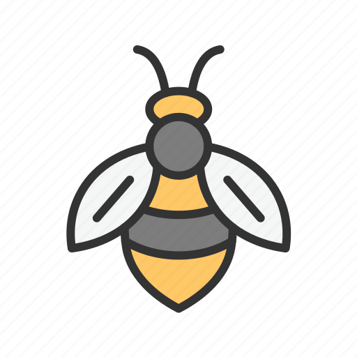 Honeybee, bee, insect, stingless, apis, wasp, apiary icon - Download on Iconfinder