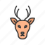 deer, moose, reindeer, christmas, wild animal, animal face, beast 