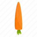 carrot, food, nature, summer, vitamin