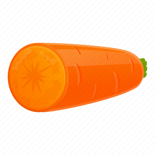 Carrot, food, half, kitchen, nature icon - Download on Iconfinder