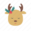 reindeer, happy, smile, mistletoe, christmas, winter, noel