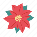 poinsettia, flower, leaf, christmas, winter, noel