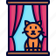 window, cat, pet, home, inside 