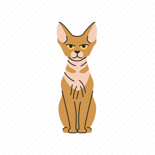 Devon, rex, cat, sitting icon - Download on Iconfinder