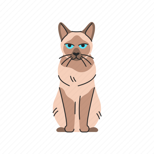 Siamese, cat, sitting icon - Download on Iconfinder