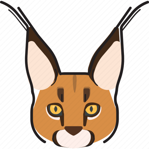 Cat, kitty, caracal, pet icon - Download on Iconfinder