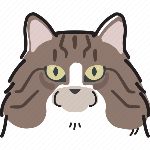 Cat, sibirian cat, face, pet icon - Download on Iconfinder