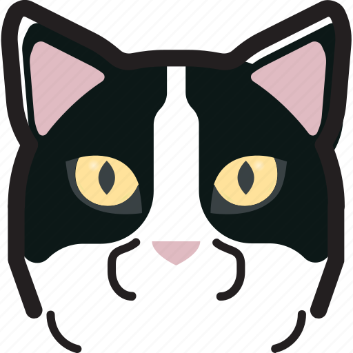 Cat, kitty, manx, pet icon - Download on Iconfinder