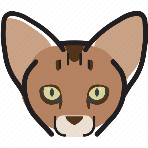 Cat, oriental shorthai, kitty, pet icon - Download on Iconfinder