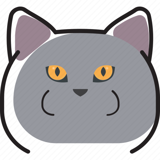 Cat, kitty, british shorthair, pet icon - Download on Iconfinder
