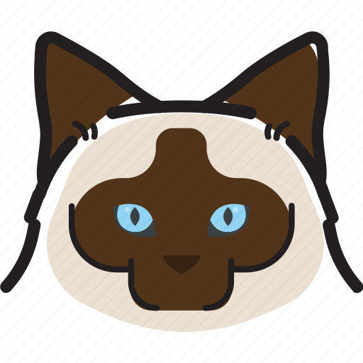 Cat, birman, kitty, pet icon - Download on Iconfinder