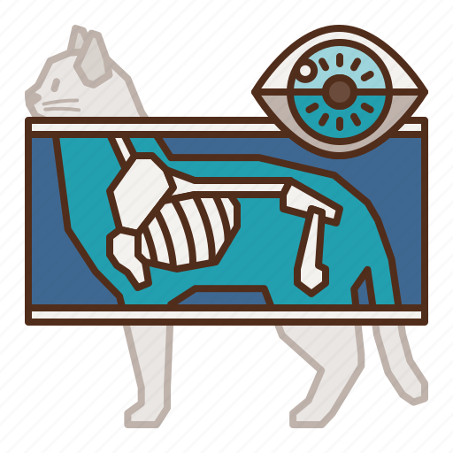 Cat, care, anatomy, bones, xray, health icon - Download on Iconfinder