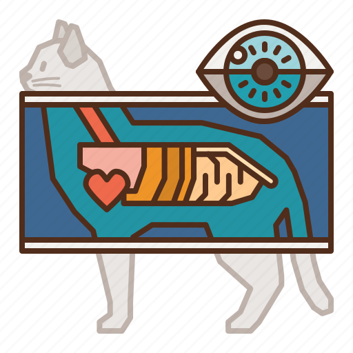Cat, care, anatomy, organs, xray, health icon - Download on Iconfinder