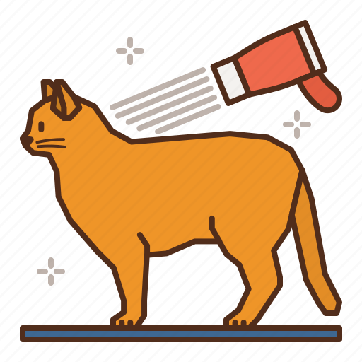 Cat, care, drying, grooming, groom icon - Download on Iconfinder
