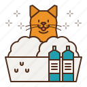 cat, care, wash, bath, groom, grooming