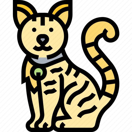 Cat, pet, animal, feline, cute icon - Download on Iconfinder