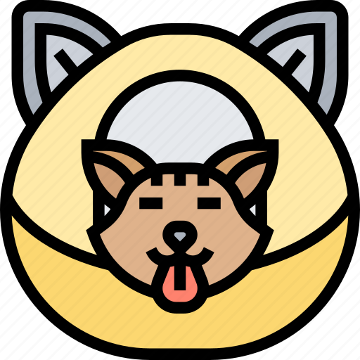 Cat, toilet, litterbox, hygiene, indoors icon - Download on Iconfinder