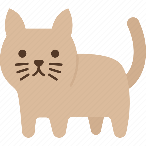 Cat, kitten, pet, cute, adorable icon - Download on Iconfinder