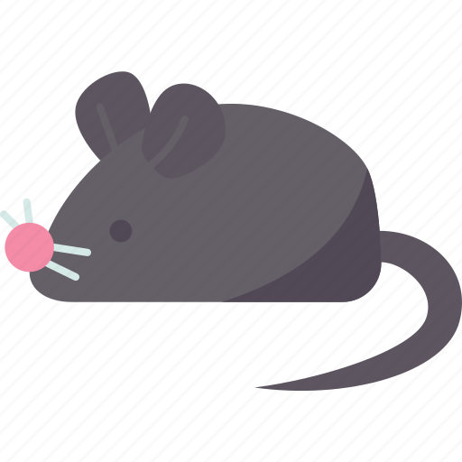 Mouse, rat, animal, pest, house icon - Download on Iconfinder