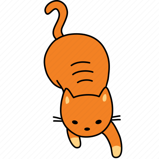 Animal, cat, feline, ginger, orange, pet, play icon - Download on Iconfinder