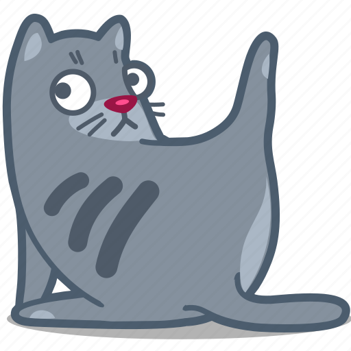 Animal, busy, cat, clean, kitty, pet, what icon - Download on Iconfinder