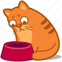bowl, cat, pet, food