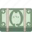 cash, cat, money, dollars 