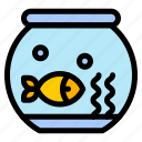 fish, aquarium, fishbowl, goldfish, pet